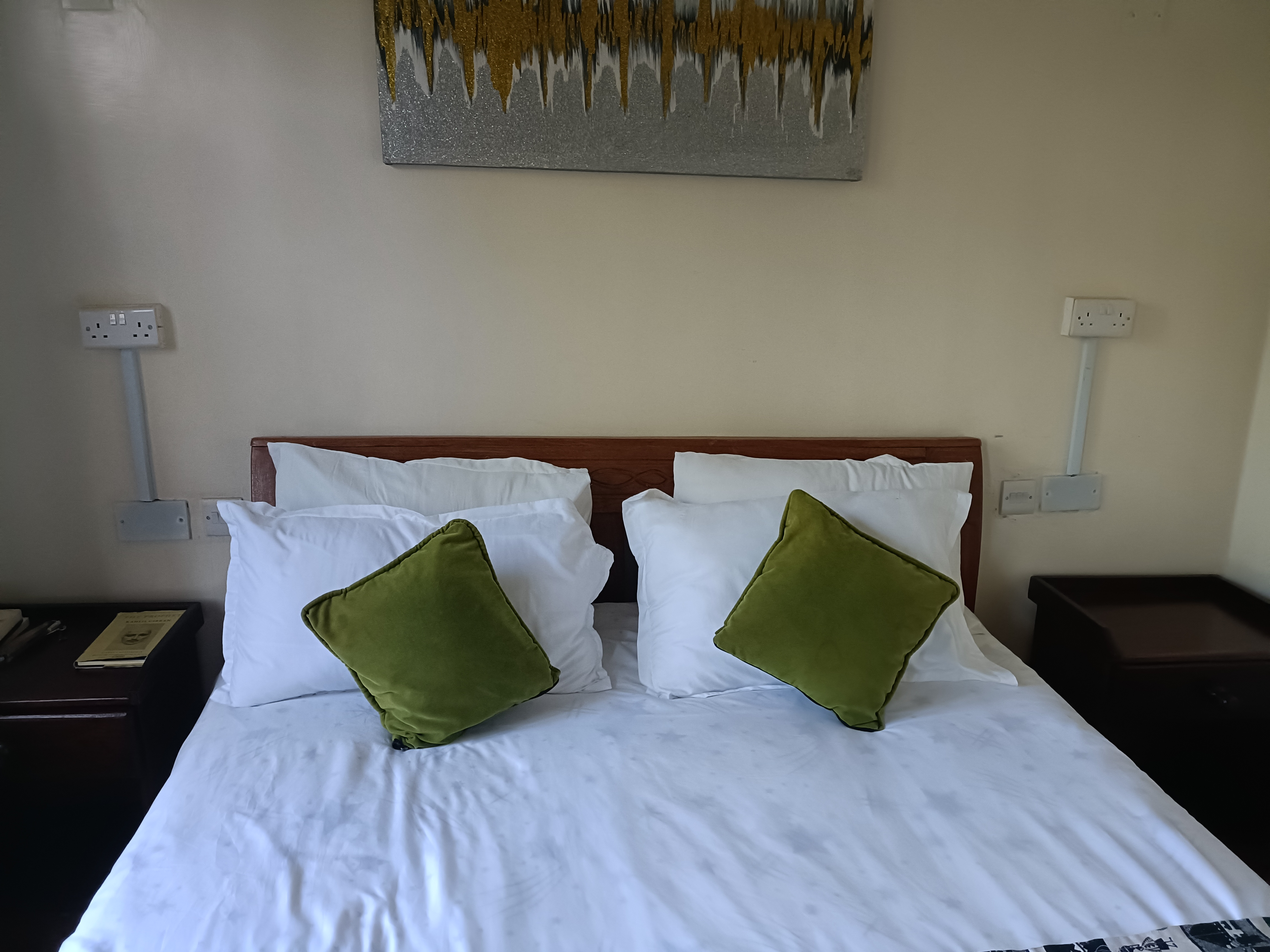 extra-firm-pillows